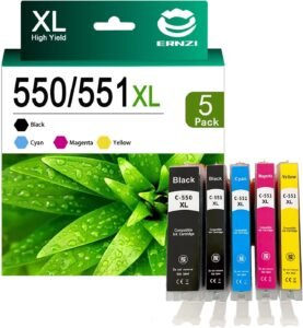 ERNZI Replacement PGI-550 Ink Cartridge Review – Reliable & Cost-Effective