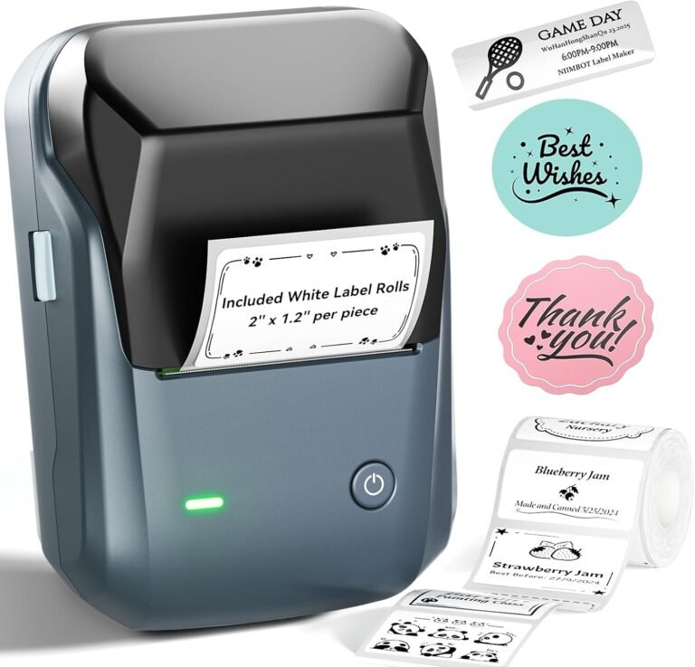 NIIMBOT B1 Label Maker Machine, Thermal Review